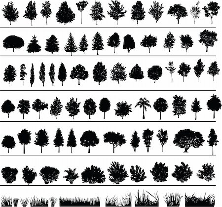 simsearch:400-08379558,k - Set of silhouettes of trees, bushes and grass Fotografie stock - Microstock e Abbonamento, Codice: 400-04187191