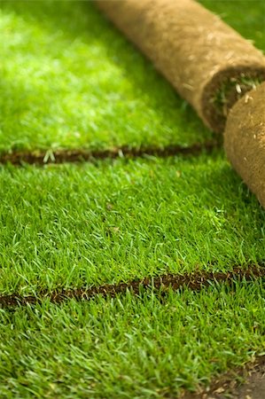 simsearch:400-05318999,k - Turf grass rolls partially unrolled revealing a fresh green lawn - shallow depth of field Photographie de stock - Aubaine LD & Abonnement, Code: 400-04187411