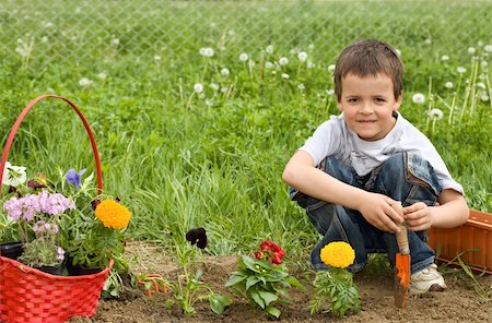 Young boy planting flowers in the garden Stock Photo - Budget Royalty-Free & Subscription, Code: 400-04187605