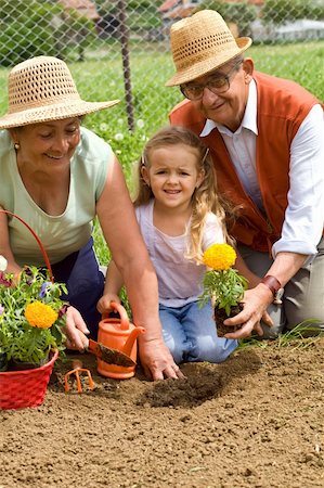 Grandparents teaching little girl the ways of gardening - planting flowers together Stock Photo - Budget Royalty-Free & Subscription, Code: 400-04187602