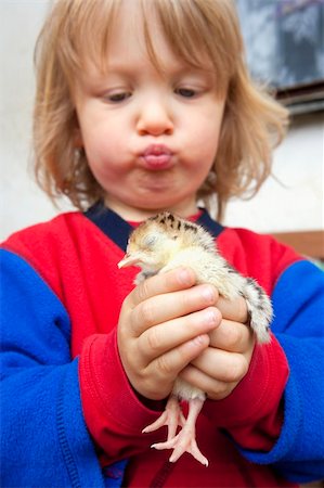 simsearch:400-05905850,k - little boy carefully holding new born chick in his hands Photographie de stock - Aubaine LD & Abonnement, Code: 400-04189367
