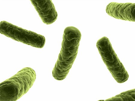 simsearch:400-05226095,k - 3d rendered close up of some isolated bacteria Stock Photo - Budget Royalty-Free & Subscription, Code: 400-04189681