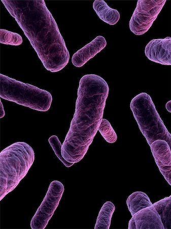 simsearch:400-07712991,k - 3d rendered close up of some isolated bacteria Stock Photo - Budget Royalty-Free & Subscription, Code: 400-04189683