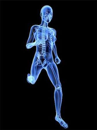 3d rendered x-ray illustration of a running woman Foto de stock - Super Valor sin royalties y Suscripción, Código: 400-04189714