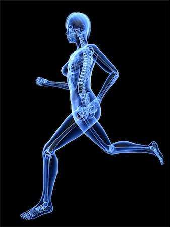 3d rendered x-ray illustration of a running woman Foto de stock - Super Valor sin royalties y Suscripción, Código: 400-04189715