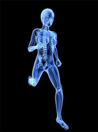 simsearch:400-04683335,k - 3d rendered x-ray illustration of a running woman Stock Photo - Budget Royalty-Free & Subscription, Code: 400-04189716