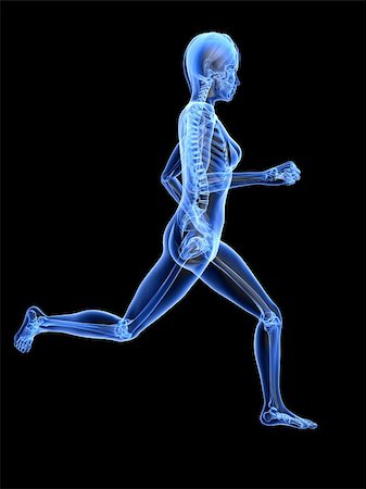 3d rendered x-ray illustration of a running woman Foto de stock - Super Valor sin royalties y Suscripción, Código: 400-04189717