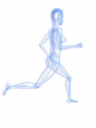 3d rendered x-ray illustration of a running woman Stock Photo - Budget Royalty-Free & Subscription, Code: 400-04189724
