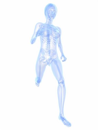 simsearch:400-04683335,k - 3d rendered x-ray illustration of a running woman Stock Photo - Budget Royalty-Free & Subscription, Code: 400-04189725