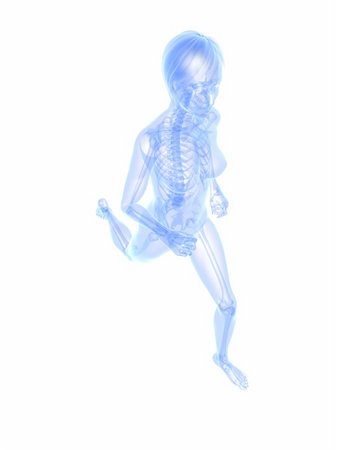 simsearch:400-04683335,k - 3d rendered x-ray illustration of a running woman Stock Photo - Budget Royalty-Free & Subscription, Code: 400-04189726