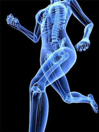 3d rendered x-ray illustration of a running woman Foto de stock - Super Valor sin royalties y Suscripción, Código: 400-04189720