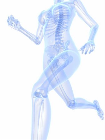 3d rendered x-ray illustration of a running woman Foto de stock - Super Valor sin royalties y Suscripción, Código: 400-04189721