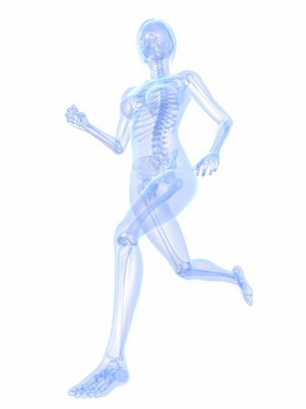 simsearch:400-04683335,k - 3d rendered x-ray illustration of a running woman Stock Photo - Budget Royalty-Free & Subscription, Code: 400-04189722