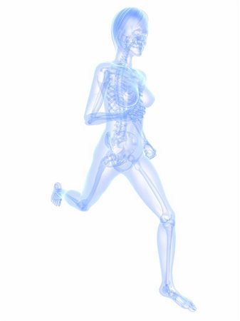 3d rendered x-ray illustration of a running woman Stock Photo - Budget Royalty-Free & Subscription, Code: 400-04189723