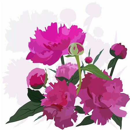 Peony. Vector floral card. Easy to edit and modify. EPS file included. Stock Photo - Budget Royalty-Free & Subscription, Code: 400-04189744