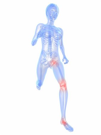 simsearch:400-04191168,k - 3d rendered illustration of a running skeleton with highlighted knee and hip Stock Photo - Budget Royalty-Free & Subscription, Code: 400-04189767