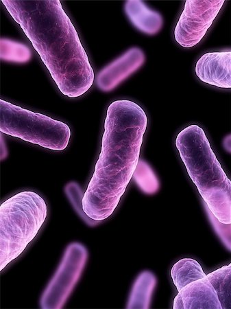 simsearch:400-05226095,k - 3d rendered illustration of some isolated bacteria Stock Photo - Budget Royalty-Free & Subscription, Code: 400-04189775