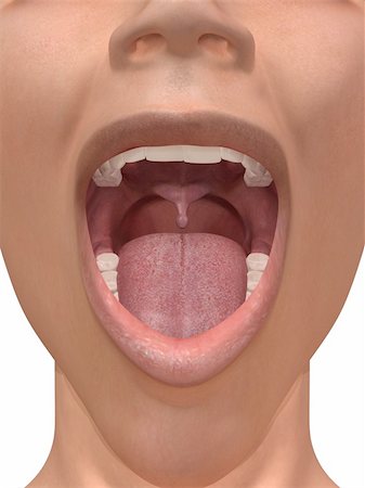 3d rendered illustration of an open mouth Foto de stock - Super Valor sin royalties y Suscripción, Código: 400-04189779