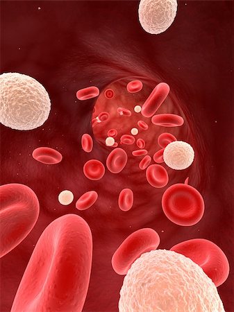 3d rendered illustration of an artery with leucocytes and red blood cells Stock Photo - Budget Royalty-Free & Subscription, Code: 400-04189791