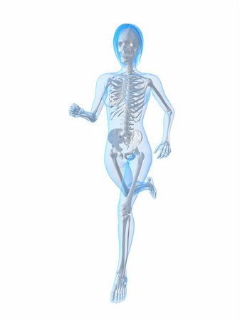 simsearch:400-04103615,k - 3d rendered illustration of a running  female skeleton Stock Photo - Budget Royalty-Free & Subscription, Code: 400-04189832