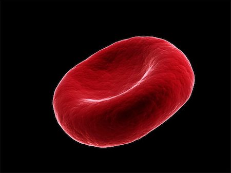 3d rendered illustration of an solated red blood cell Stock Photo - Budget Royalty-Free & Subscription, Code: 400-04189853