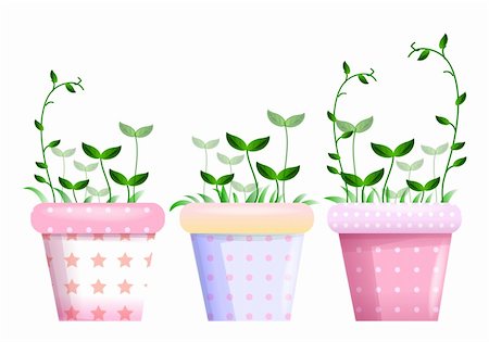 three color flowerpots with plant on the white background Stock Photo - Budget Royalty-Free & Subscription, Code: 400-04180301