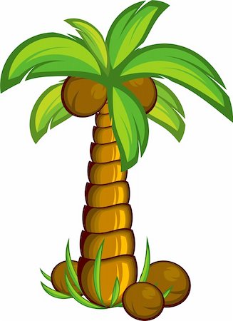 single coconut tree picture - Palm tree. Over white. EPS 8, AI, JPEG Stock Photo - Budget Royalty-Free & Subscription, Code: 400-04180388