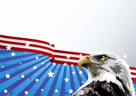 Bald eagle in front of an American flag. Stock Photo - Budget Royalty-Free & Subscription, Code: 400-04180391