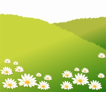 simsearch:400-05245245,k - white flower on a green lawn,used as background Foto de stock - Super Valor sin royalties y Suscripción, Código: 400-04180832