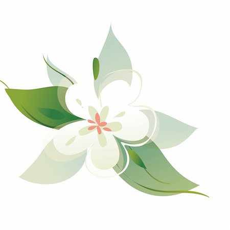 simsearch:400-06555366,k - a small white flower with green leaves on a background Fotografie stock - Microstock e Abbonamento, Codice: 400-04181480