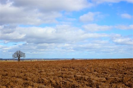 ploughed field england - plwed soil on historic towton battlefield in rural england under a blue cloudy sky Stock Photo - Budget Royalty-Free & Subscription, Code: 400-04182210