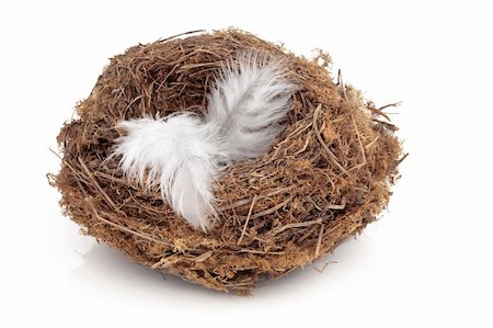 empty birds nest - Natural bird nest with two white feathers, isolated over white background. Stock Photo - Budget Royalty-Free & Subscription, Code: 400-04182268