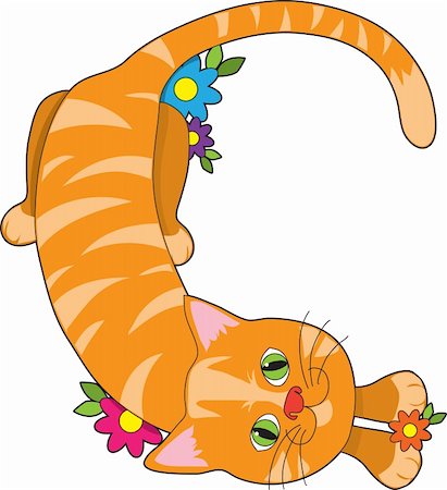 A cat lying down and looking up, shaped like the letter C Stock Photo - Budget Royalty-Free & Subscription, Code: 400-04194071