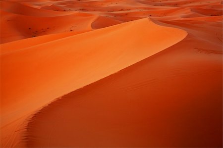 simsearch:400-03997137,k - Landscape in Sahara Desert, Morocco, Africa Photographie de stock - Aubaine LD & Abonnement, Code: 400-04194278