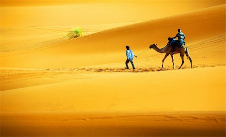 simsearch:851-02963600,k - Dromedary ( Camelus Dromedarius ) at Erg Chebi, Sahara Desert, Morocco, Africa Stock Photo - Budget Royalty-Free & Subscription, Code: 400-04194286