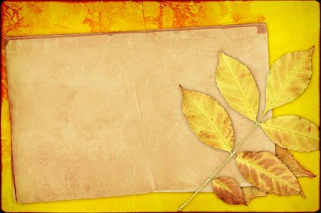 simsearch:400-04592307,k - Grunge background with autumn leaves Stockbilder - Microstock & Abonnement, Bildnummer: 400-04194846