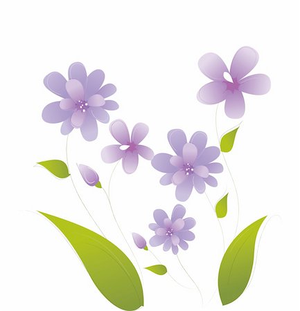 simsearch:400-04696103,k - an illustration drawing of purple daisy  flower Foto de stock - Super Valor sin royalties y Suscripción, Código: 400-04197941