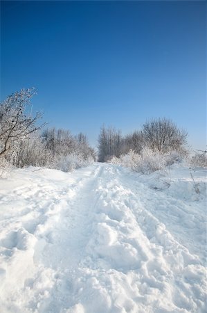 simsearch:400-05063238,k - winter road, trees and bushes Stock Photo - Budget Royalty-Free & Subscription, Code: 400-04198137