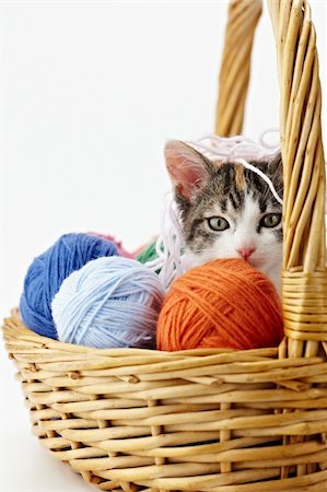 tricolor female kitten in basket playing with balls of whool on white background. Vertical shape, copy space Stock Photo - Budget Royalty-Free & Subscription, Code: 400-04199355