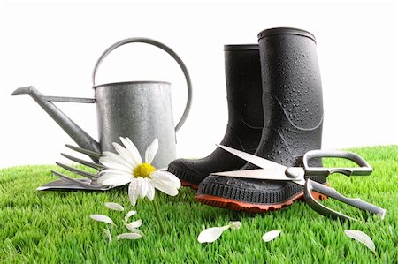 Rubber boots with watering can and daisy in grass Stock Photo - Budget Royalty-Free & Subscription, Code: 400-04199709