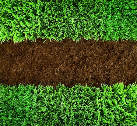 sandralise (artist) - Short green grass and brown earth Background Foto de stock - Super Valor sin royalties y Suscripción, Código: 400-04199717
