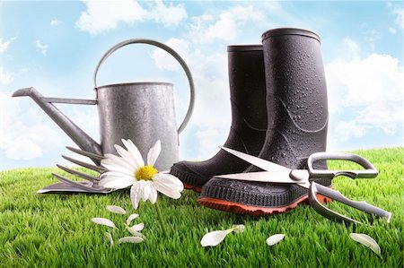 Rubber boots with watering can and daisy in grass Stock Photo - Budget Royalty-Free & Subscription, Code: 400-04199710