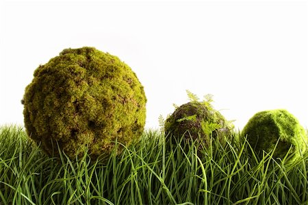 simsearch:400-05744585,k - Moss covered balls laying in tall green grass Stock Photo - Budget Royalty-Free & Subscription, Code: 400-04199724