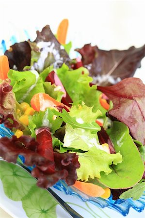 romaine field - Mixed vegetable salad with beetroot - vegetarian food Stock Photo - Budget Royalty-Free & Subscription, Code: 400-04199910