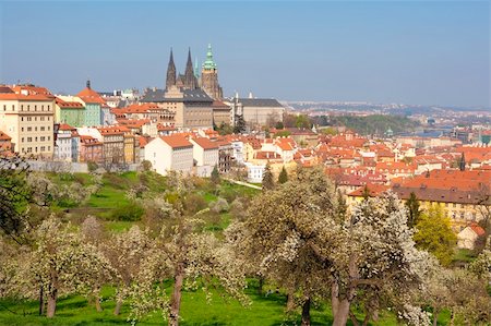 simsearch:400-04770149,k - prague - view of hradcany castle and st. vitus cathedral in spring Fotografie stock - Microstock e Abbonamento, Codice: 400-04190512