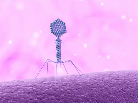 simsearch:400-04068533,k - 3d rendered close up of an isolated bacteriophage Stock Photo - Budget Royalty-Free & Subscription, Code: 400-04191014