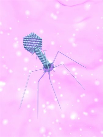 simsearch:400-04068533,k - 3d rendered close up of an isolated bacteriophage Stock Photo - Budget Royalty-Free & Subscription, Code: 400-04191015