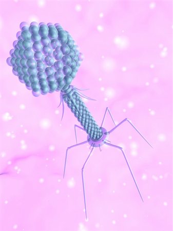 3d rendered close up of an isolated bacteriophage Stock Photo - Budget Royalty-Free & Subscription, Code: 400-04191016