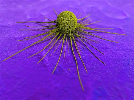 3d rendered close up of a growing cancer cell Stock Photo - Budget Royalty-Free & Subscription, Code: 400-04191010