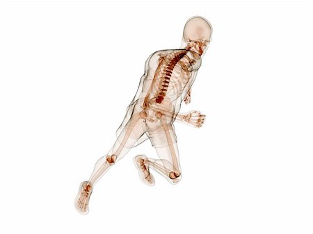 simsearch:400-04191168,k - 3d rendered illustration of a running human skeleton Stock Photo - Budget Royalty-Free & Subscription, Code: 400-04191107